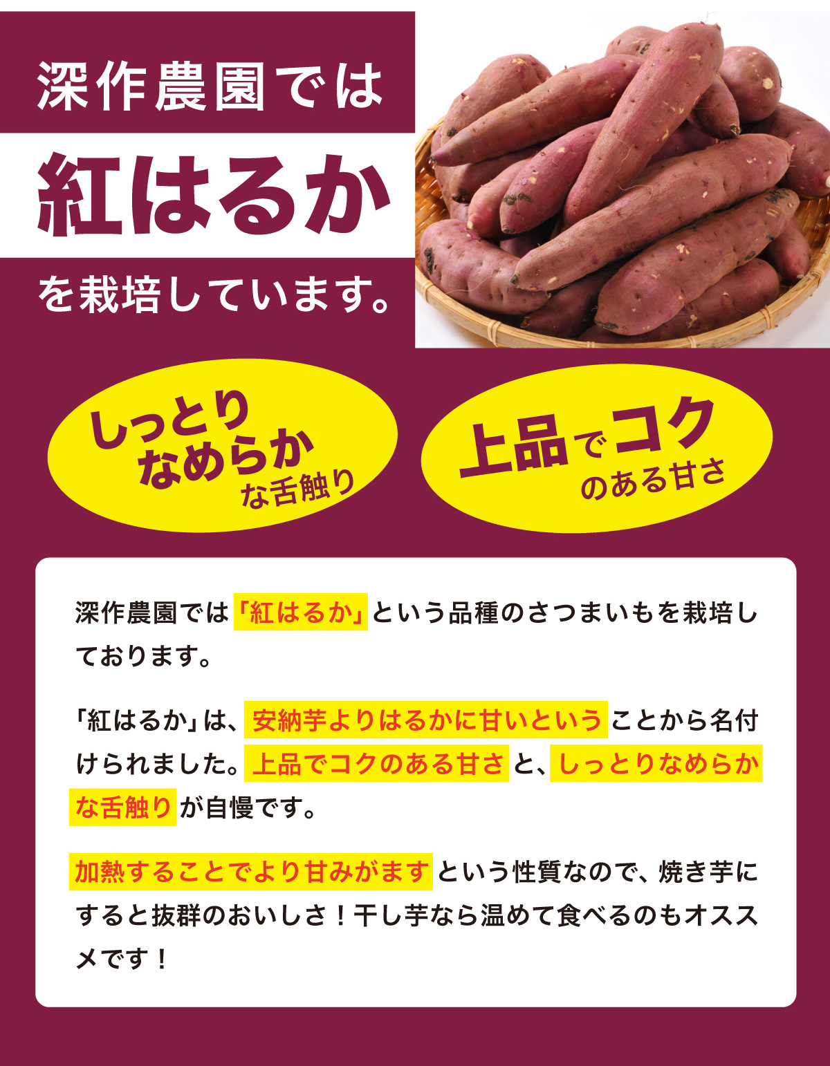 さつまいも べにはるか 5kg Lサイズ 野菜・お米・たまご｜深作農園 - 農家直営 新鮮野菜、スイーツ、バームクーヘン、いちご