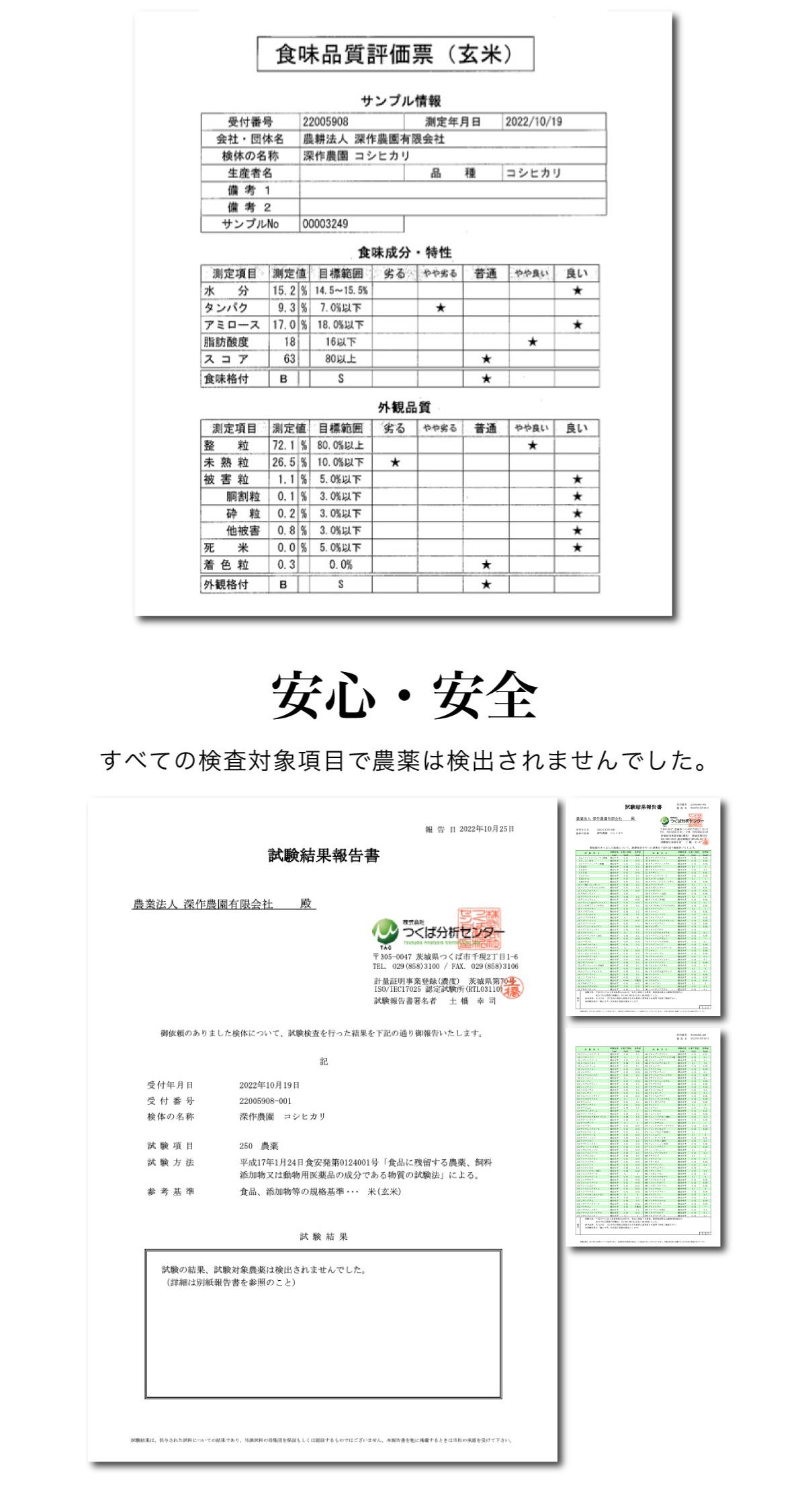 深作農園の 一等米 コシヒカリ 玄米 30kg 野菜 お米 たまご 深作農園 農家直営 新鮮野菜 スイーツ バームクーヘン いちご